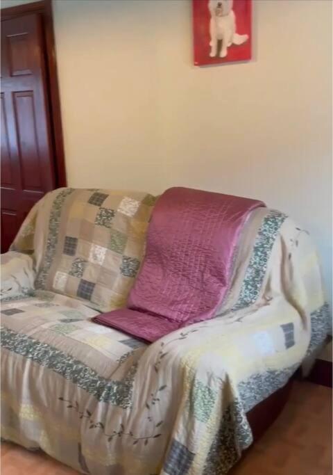 Annie Dee'S Guest Accommodation Ballygowan Ngoại thất bức ảnh